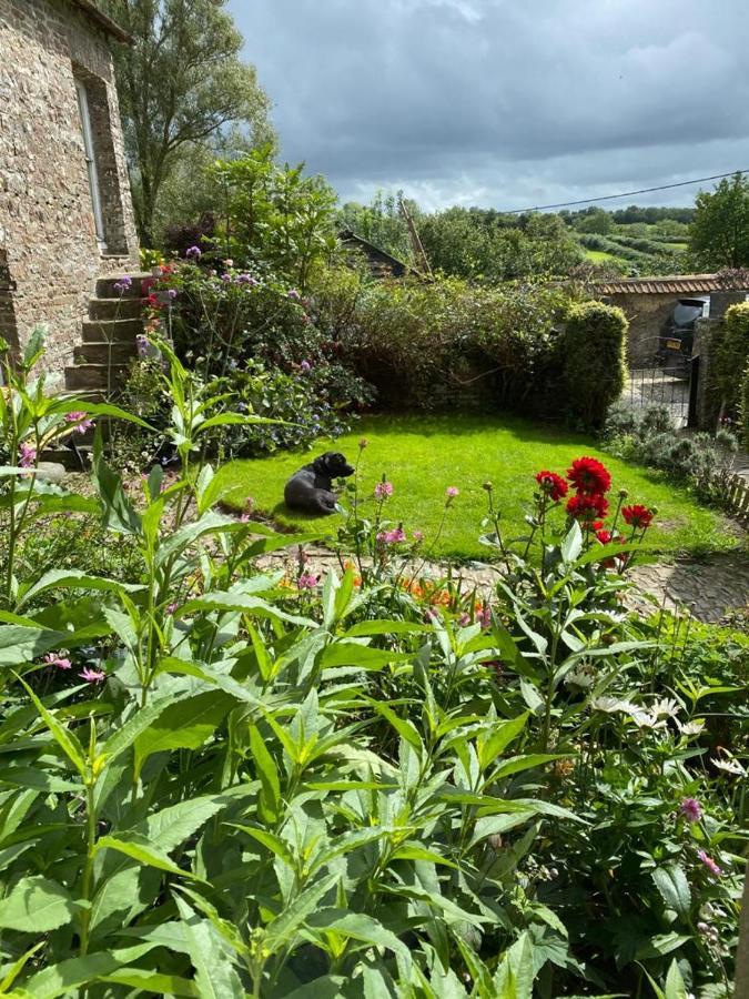 Higher Biddacott Farm Chittlehampton Eksteriør bilde